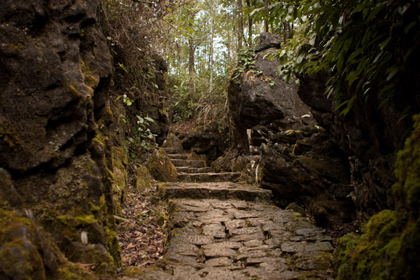 Hidden stone pathway