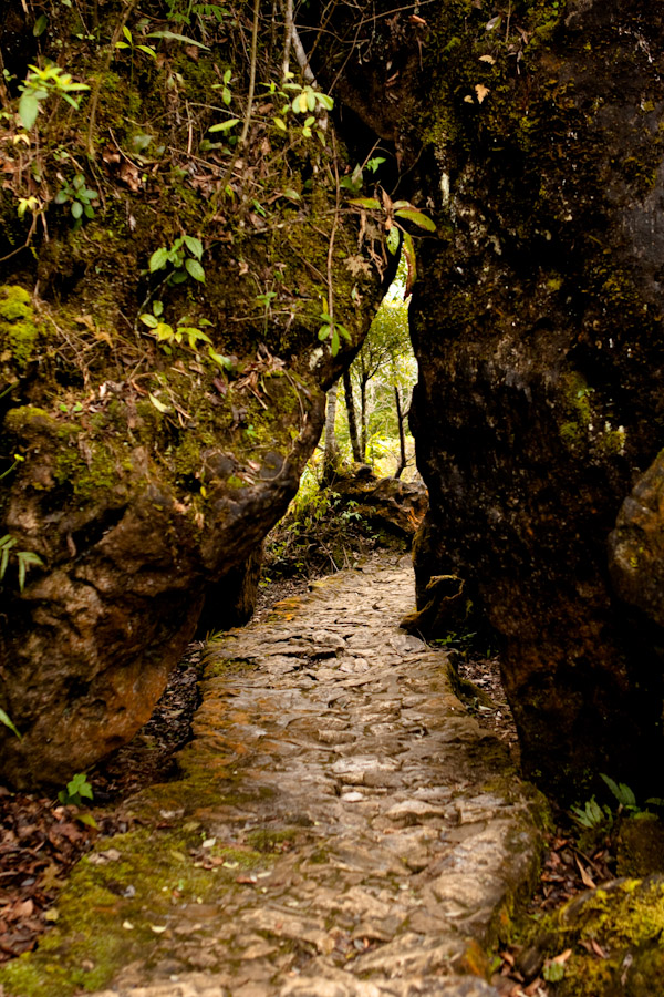 Even cooler rock pathway