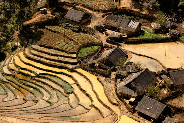 Rice paddies and homes in Sapa, Vietnam