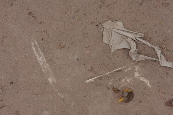 Victim's bones in the ground at the Killing Fields