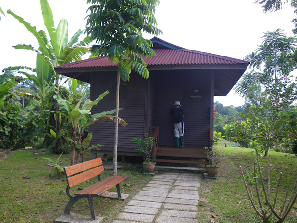Bungalow at Sepilok Forest Edge Resort