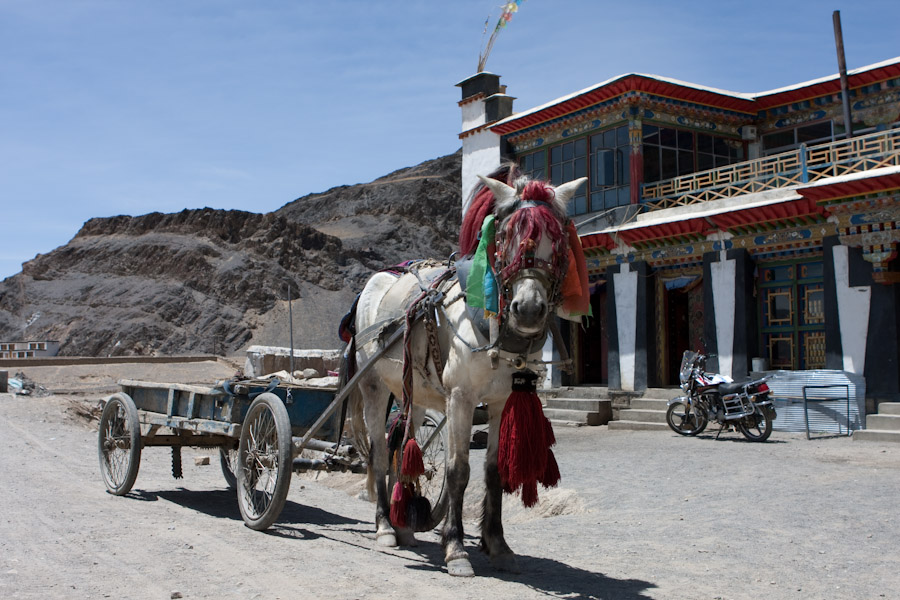 Horse Drawn Cart in Tibet