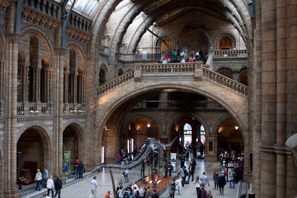 Dinosaur inside the Natural History Museum, London