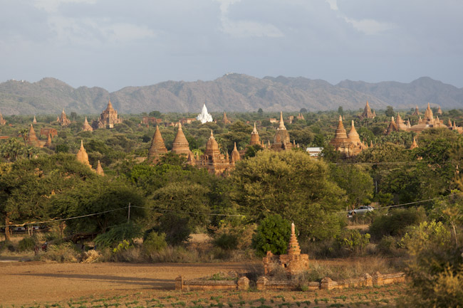 View of the Temples of Bagan in the Evening Light